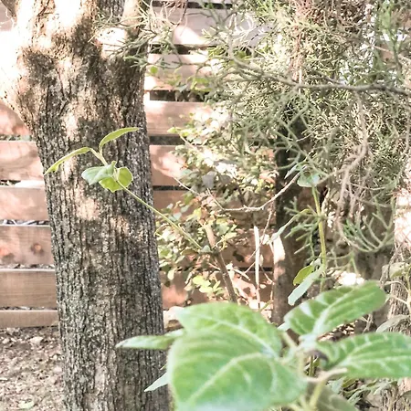 Apartmán Le Du Coutach Quissac (Gard)