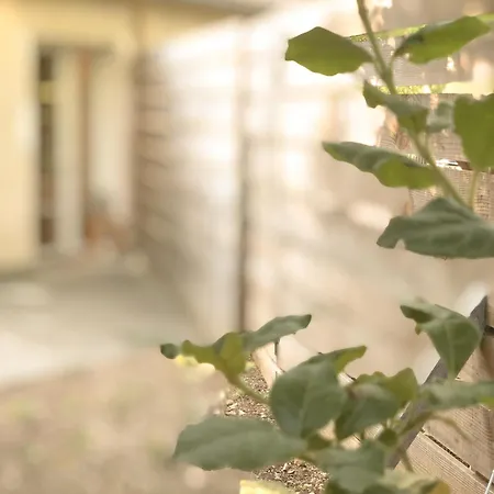 Apartmán Le Du Coutach